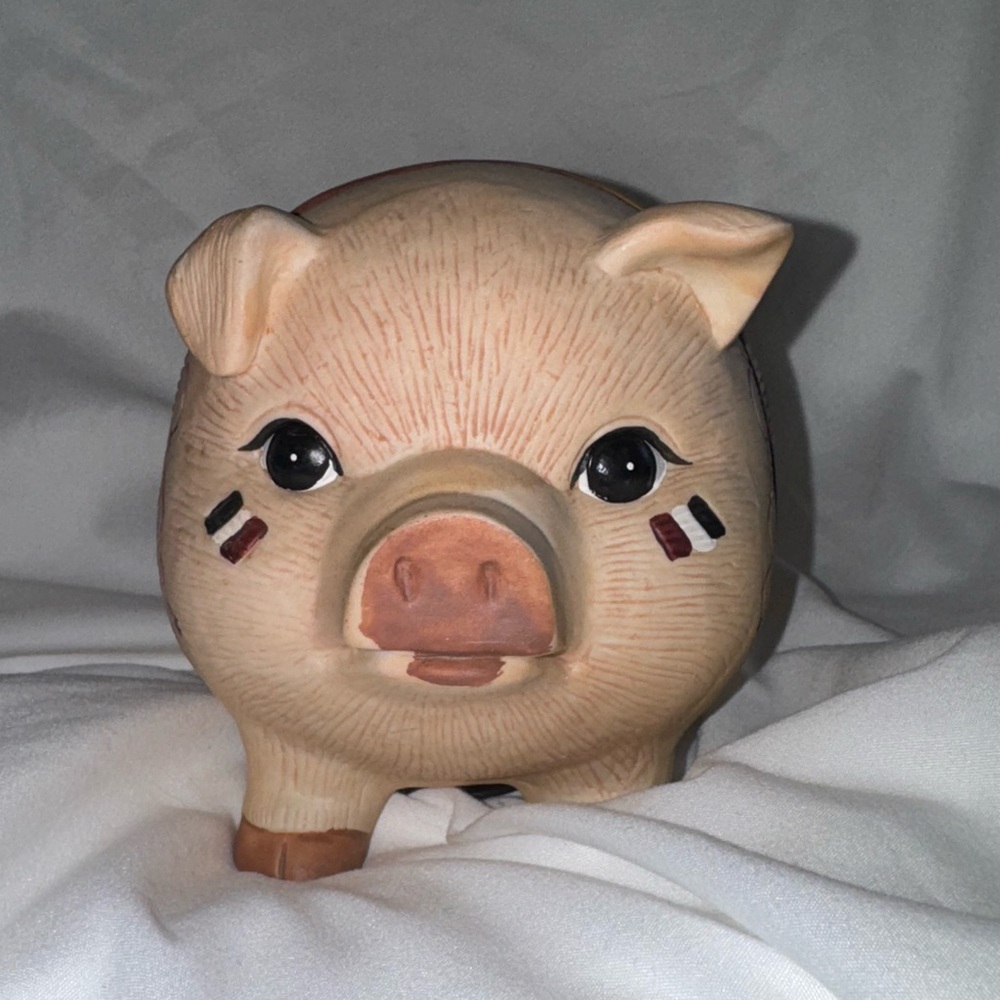 Gregory Perillo Savings Bank Pig